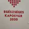 Egészséges Kaposvár 2030 program_1